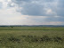 IMG_3071.JPG