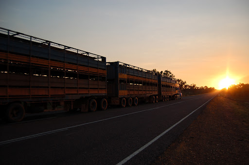 Road Train - ten byl krotki, tylko 3 przyczepy. Niektore maja po 5. Road Train - ten byl krotki, tylko 3 przyczepy. Niektore maja po 5.