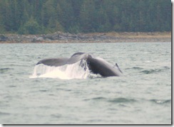 Alaska 0908 080