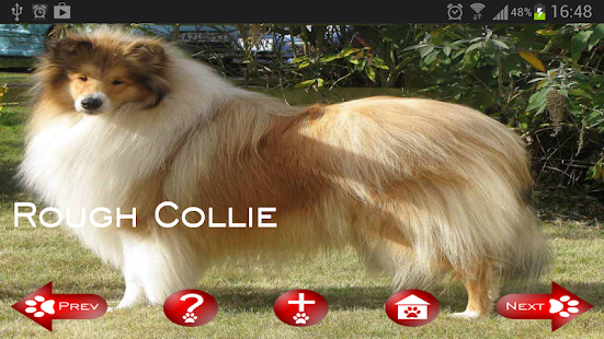 How to mod About Dog Breeds (Free) 0.6 apk for bluestacks
