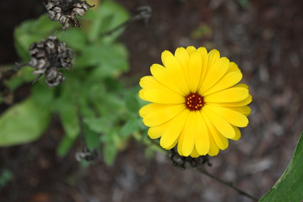 [DPP_00165.jpg]