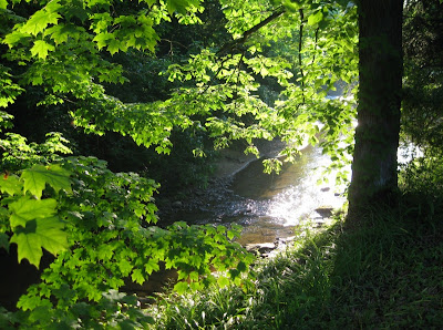 View from the Porch