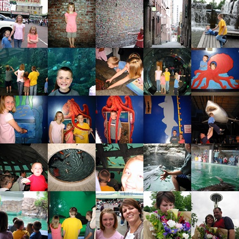 [collage1[8].jpg]