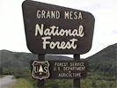 Grand Mesa National Forest Camping