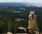 Grand Mesa Byway