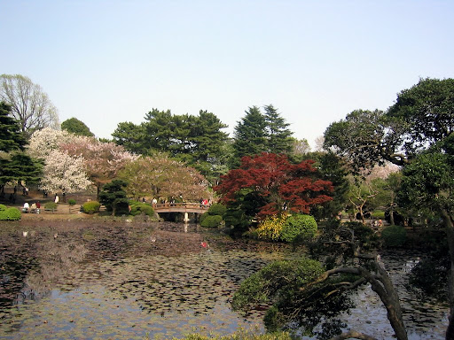 Shinjuku Gyoen National Park in April 2007