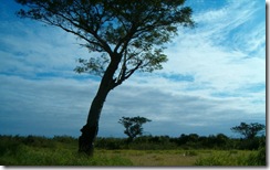 HPIM3695_
