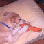 Lando &ndash; 