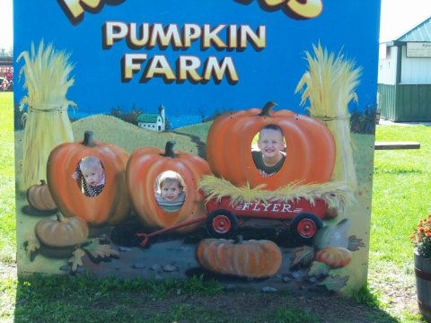 [pumpkinheads 2[4].jpg]
