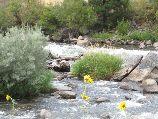 [IMG_08773.jpg]