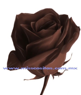 Flor de chocolate hecha en Photoshop