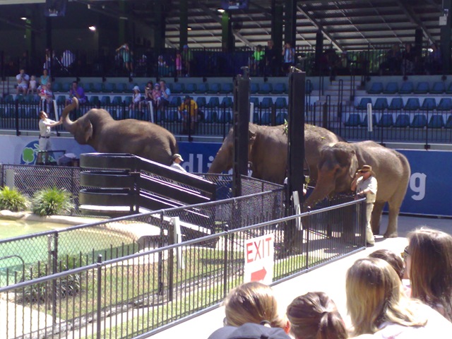 [03042008841[2].jpg]