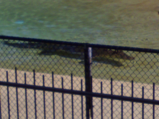 [03042008857[2].jpg]