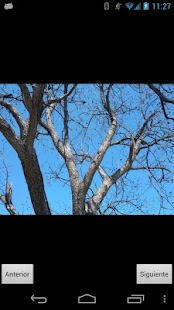 How to mod NatureWallpaper patch 0.3 apk for pc