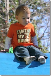 IMG_8597 (Medium)