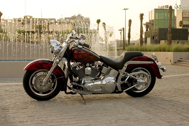 [34457123_8000[5].jpg]