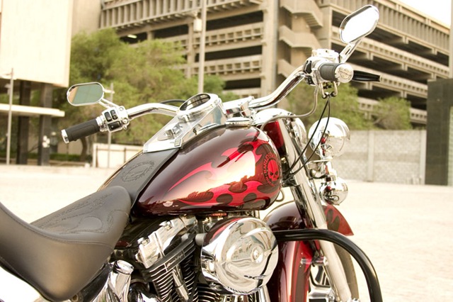 [34457166_8046[7].jpg]