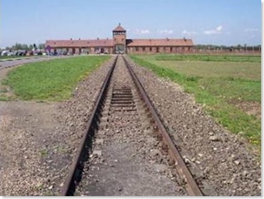 holocausto 8