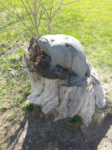 Beaver Carved In Stump