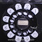 Paystations - Western Electric 155E loc R4-1 9