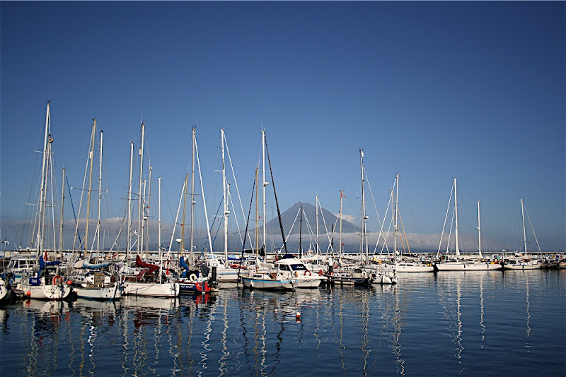 Marina of Horta - Island of Faial