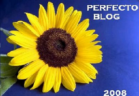 http://lh5.ggpht.com/mstc.luz/SGgGa7B9NmI/AAAAAAAAAmo/aMyoQY_z4Po/s288/Trofeo%2Bperfecto%2Bblog%2B2008.PNG
