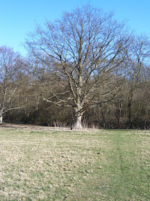 S4300017.JPG 