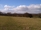 S4300021.JPG 