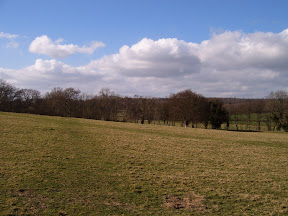 S4300021.JPG 