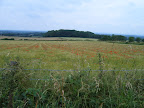 walk_29_am_field_at_bottom_of_ridge.jpg.JPG 