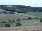 S4300472.JPG 