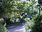 S4300442.JPG 