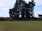 S4300443.JPG 