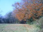 S4300551.JPG 