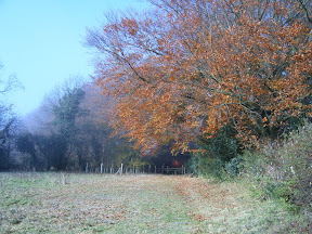 S4300551.JPG 