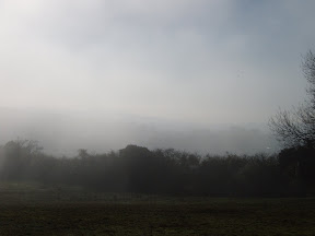 S4300553.JPG 