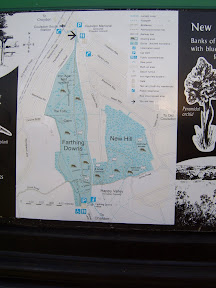 S4301727.JPG 