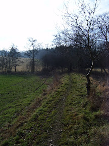 S4300915.JPG 