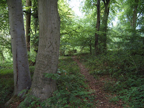 S4302088.JPG 