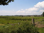S4302073.JPG Amberley Wetlands 2