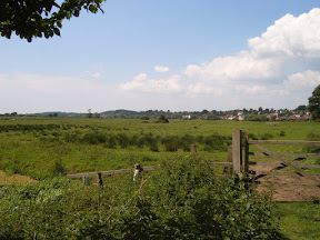 S4302073.JPG Amberley Wetlands 2