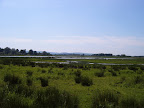 S4302074.JPG Amberley Wetlands 3