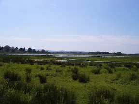 S4302074.JPG Amberley Wetlands 3