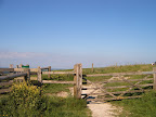 S4302080.JPG South Downs Way near Amberley : Style