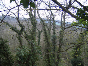 S4303433.jpg 