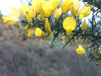 S4300057.JPG 