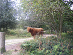 DSCF1091.JPG 