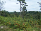 DSCF1088.JPG 