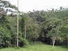 Vendo Finca 60 Has
