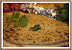 Aloo-Methi Paratha by Sia at Monsoon Spice
http://www.monsoonspice.com/2008/08/aloo-methi-paratha-my-never-ending-love.html